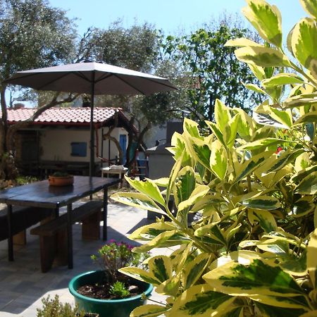 Apartments Olea Pinezići Kültér fotó